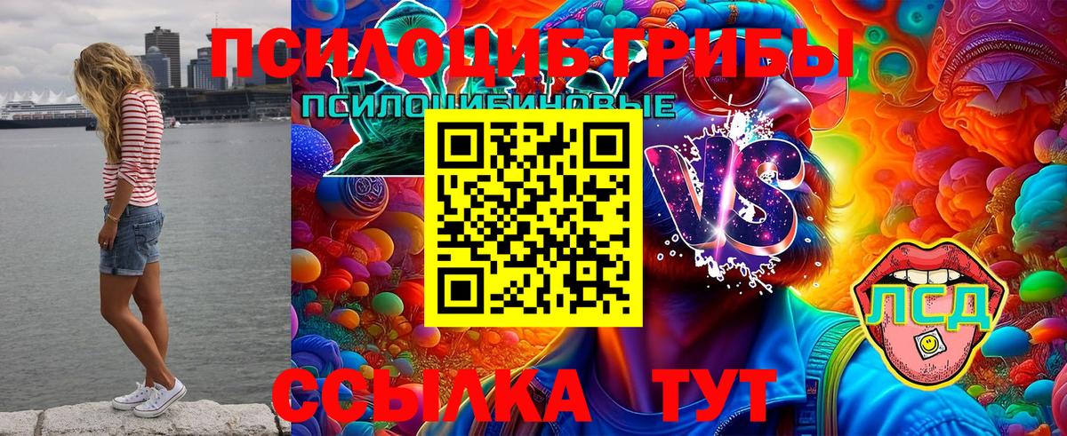 Вологда  Галлюциногенные грибы Magic Shrooms  Вход с VPN  Галлюциногенные грибы Psilocybine cubensis 